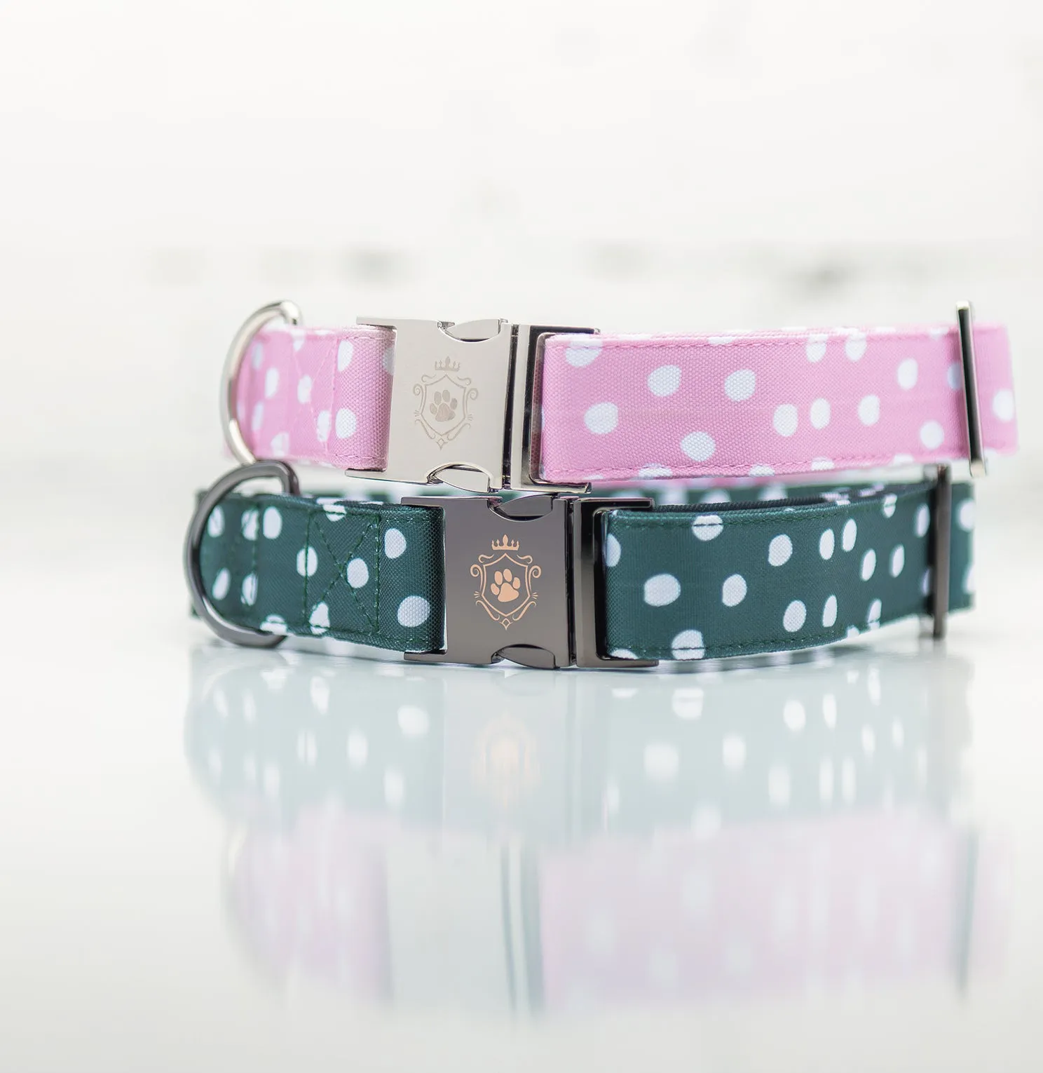 Hunter Collar & Leash Set